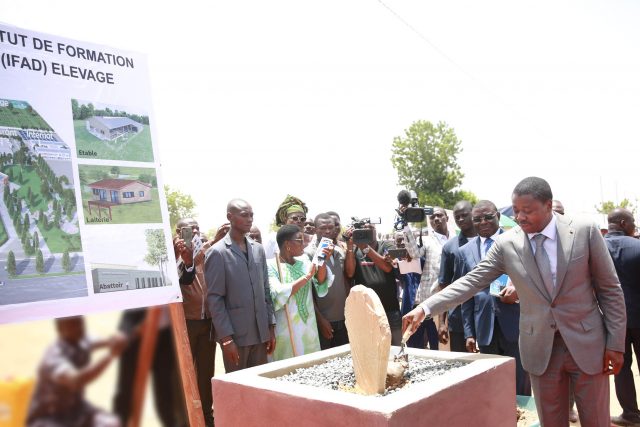 Promotion de l'élevage au Togo