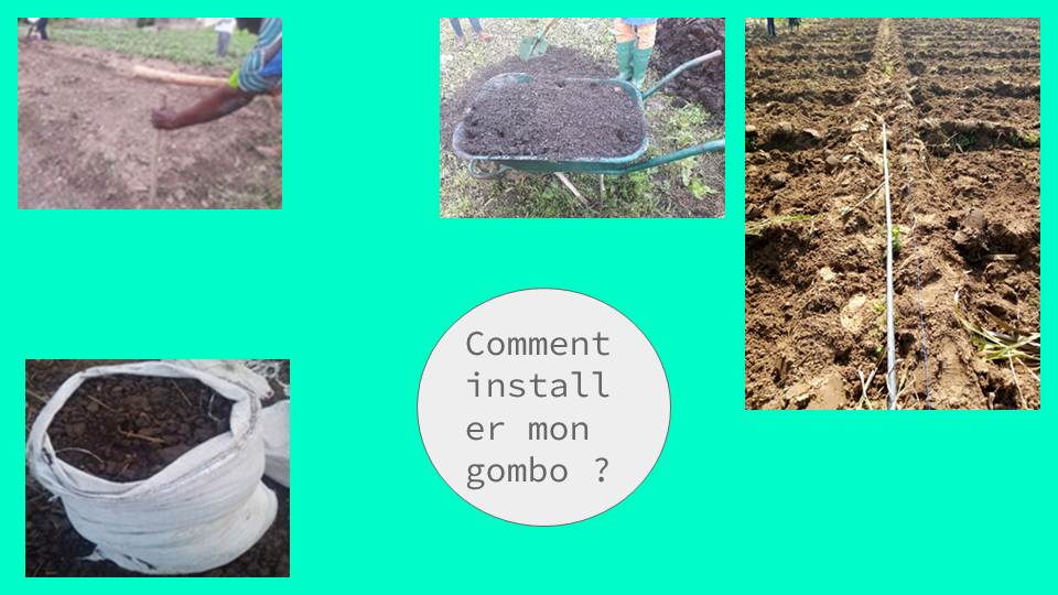 Comment installer mon gombo ?