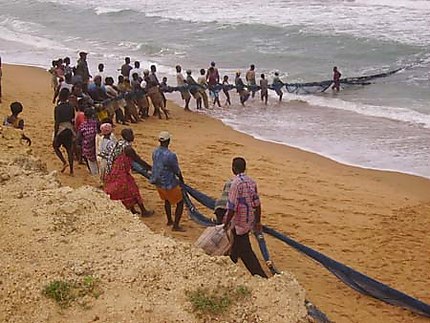 PROFILAGE DES ORGANISATIONS D'ELEVEURS ET DE PECHEURS DU TOGO